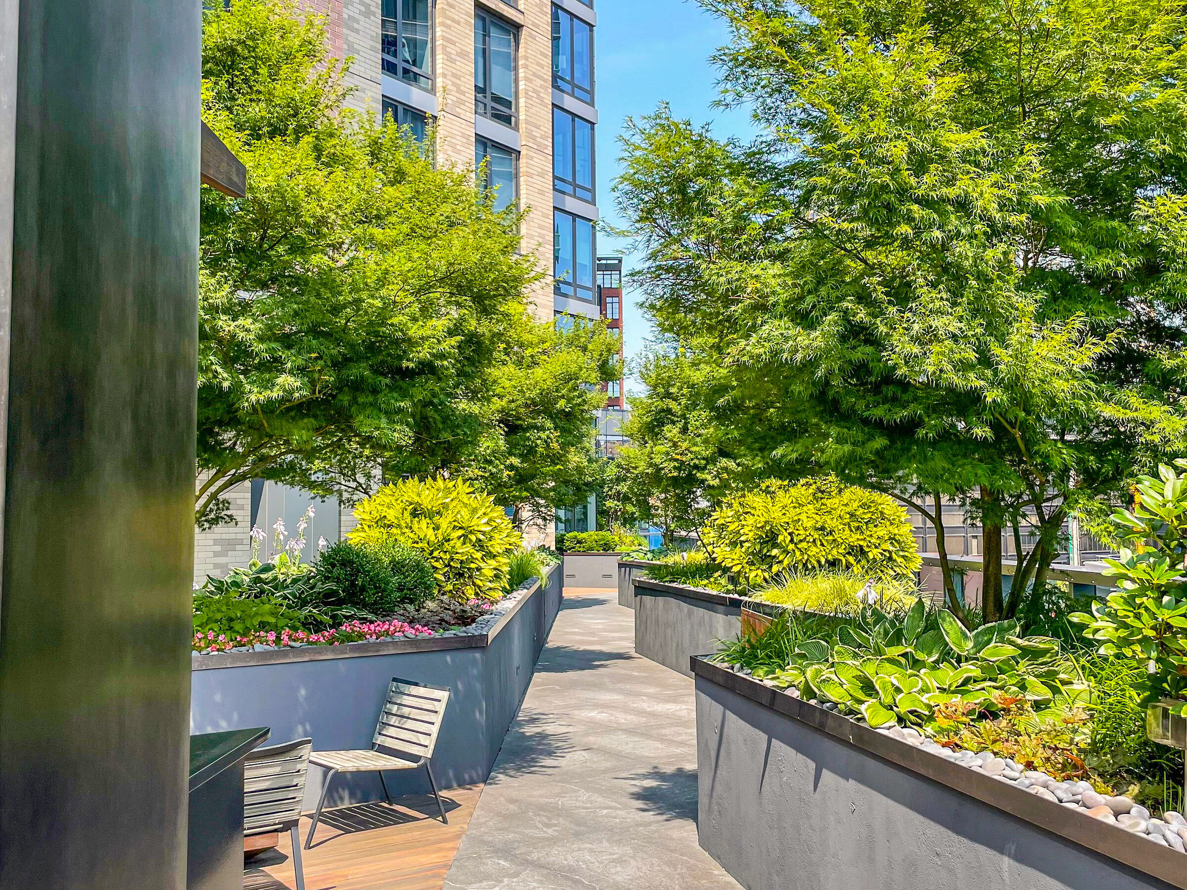 Landscaped terrace at The Ashland with trees and lounge seating